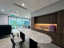 Mapletree Anson (D2), Office #504164811